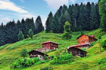 Karadeniz'in En Güzel Yaylaları